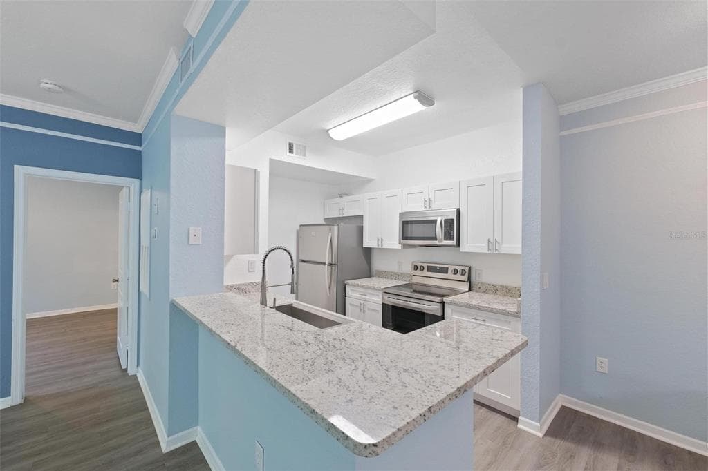 17110 CARRINGTON PARK DRIVE # 832, TAMPA, FL 33647 — zdjęcie 4