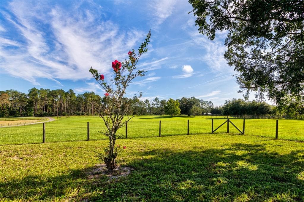 24948 WALKABOUT RANCH ROAD, SORRENTO, FL 32776 — zdjęcie 5