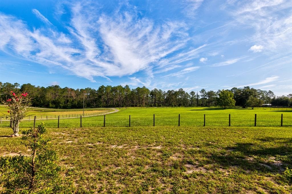 24948 WALKABOUT RANCH ROAD, SORRENTO, FL 32776 — zdjęcie 4