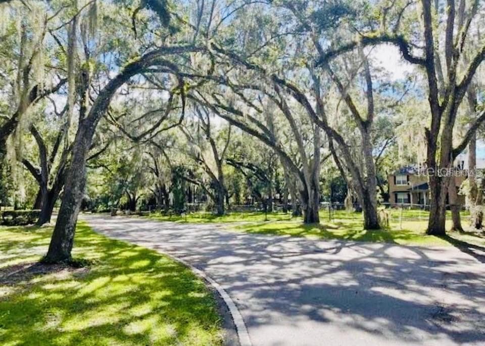 3390 WOODBERRY COURT, KISSIMMEE, FL 34746 — zdjęcie 4