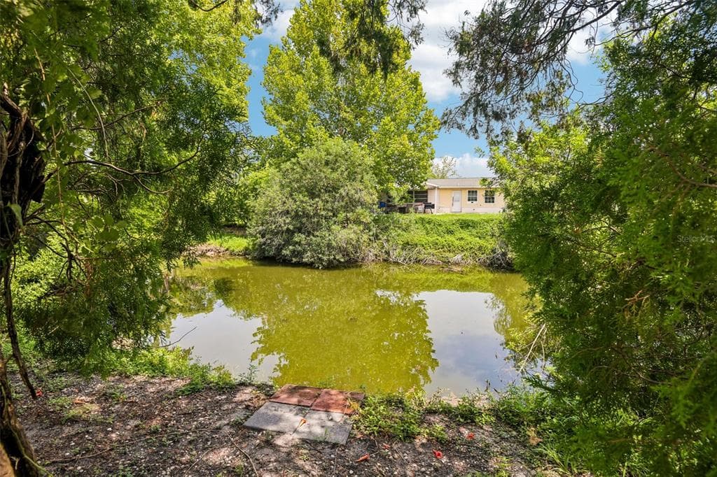 7303 HEATH DRIVE, PORT RICHEY, FL 34668 — zdjęcie 3