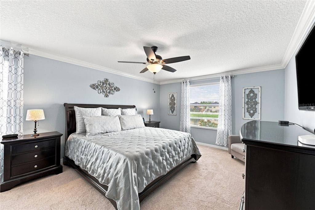 12335 BALLENTRAE FOREST DRIVE, RIVERVIEW, FL 33579 — zdjęcie 4