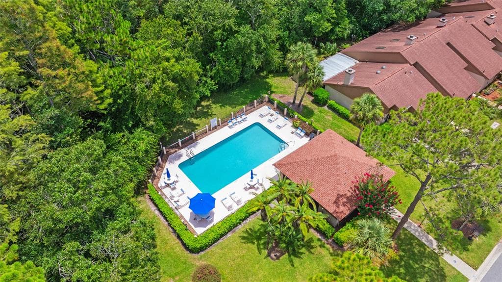 3350 DUNEMOOR CT, PALM HARBOR, FL 34685 — zdjęcie 5