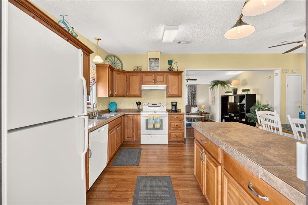 1215 PANAMA PLACE, THE VILLAGES, FL 32159 — zdjęcie 5