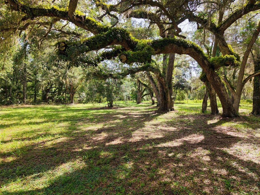 11 NE 434TH STREET, OLD TOWN, FL 32680 — zdjęcie 2