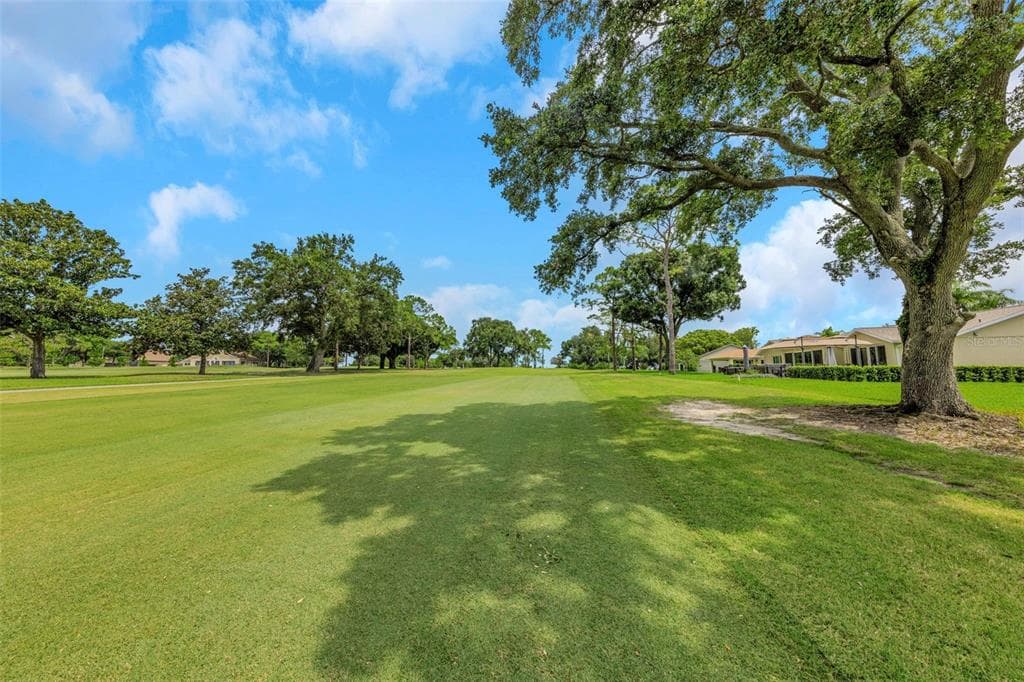 1308 GILLESPIE DRIVE, PALM HARBOR, FL 34684 — zdjęcie 4