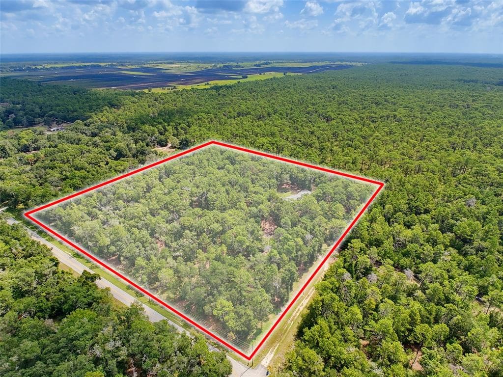 26311 WILLOW STREET, BROOKSVILLE, FL 34601 — zdjęcie 4