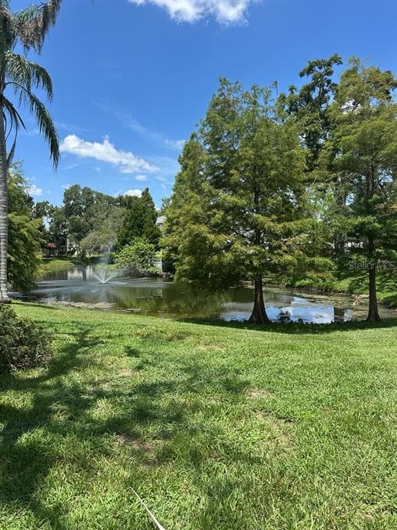 13046 VILLAGE CHASE CIRCLE # 13046, TAMPA, FL 33618 — zdjęcie 3