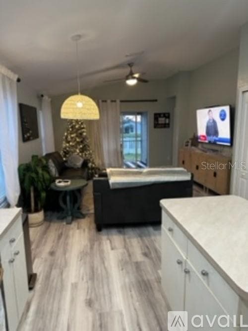 11308 PALM ISLAND AVENUE, RIVERVIEW, FL 33569 — zdjęcie 2