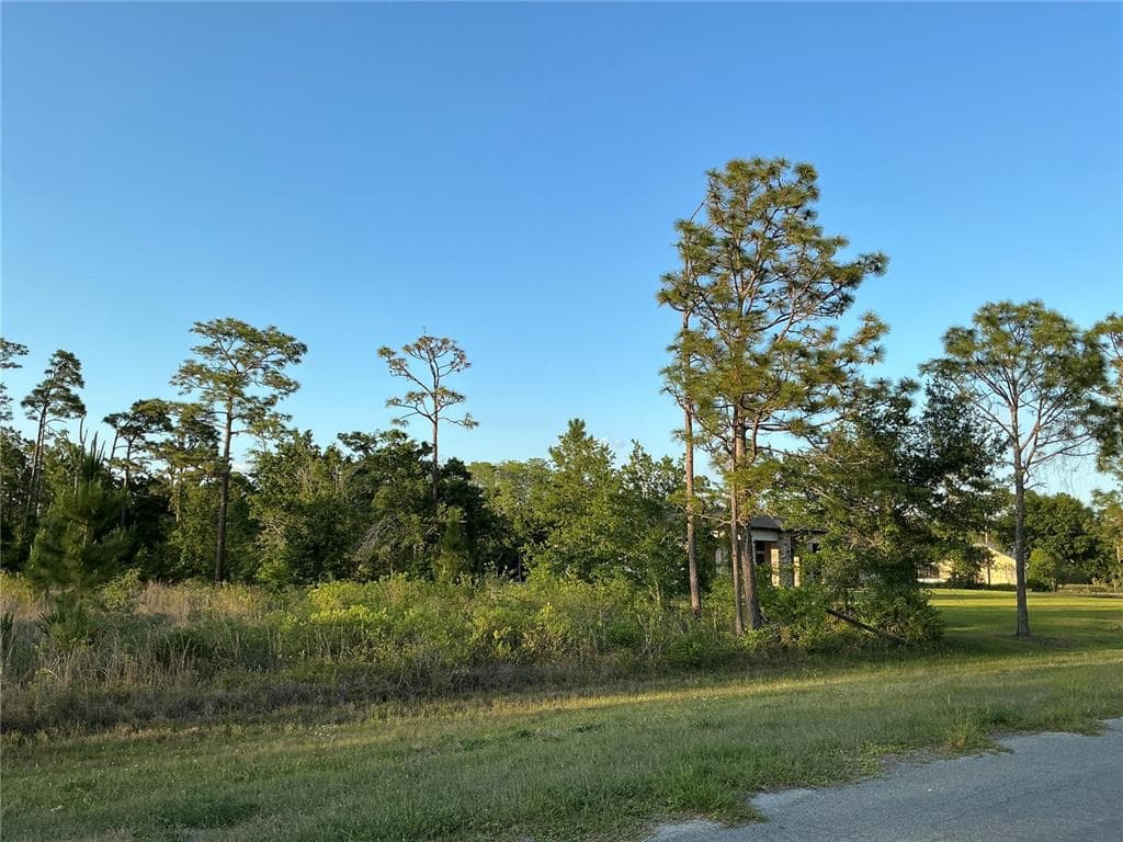 LOT 44 REYNOLDS PARKWAY, ORLANDO, FL 32833 — zdjęcie 3
