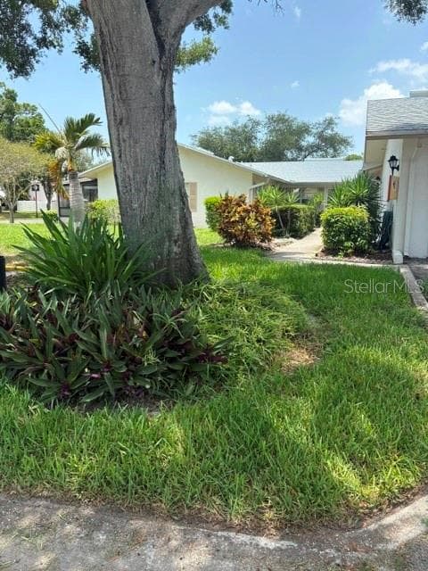 3139 38TH STREET S # A, ST PETERSBURG, FL 33711 — zdjęcie 4