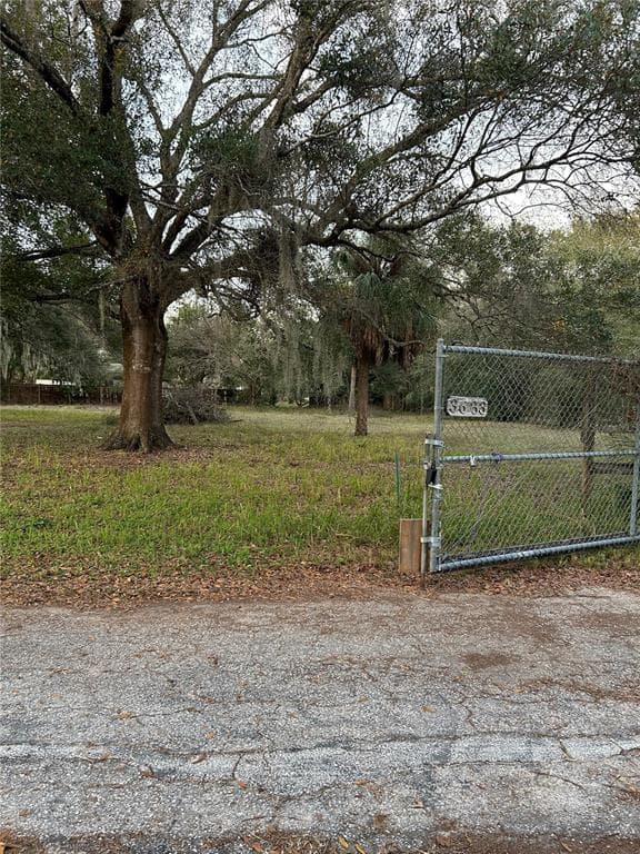 3633 APFEL ROAD, WESLEY CHAPEL, FL 33543 — zdjęcie 3