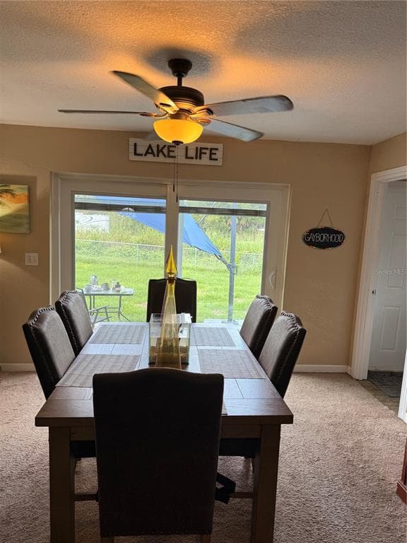 113 WHITE AVENUE NE, LAKE PLACID, FL 33852 — zdjęcie 3