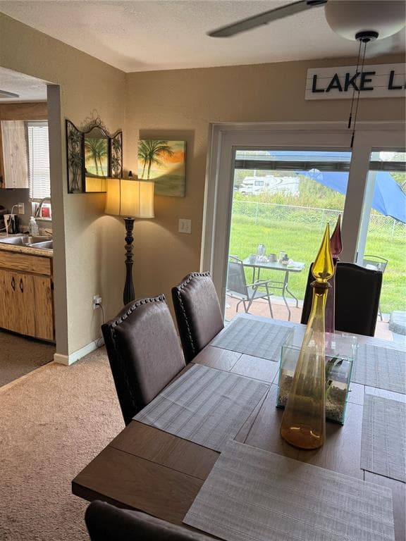 113 WHITE AVENUE NE, LAKE PLACID, FL 33852 — zdjęcie 4