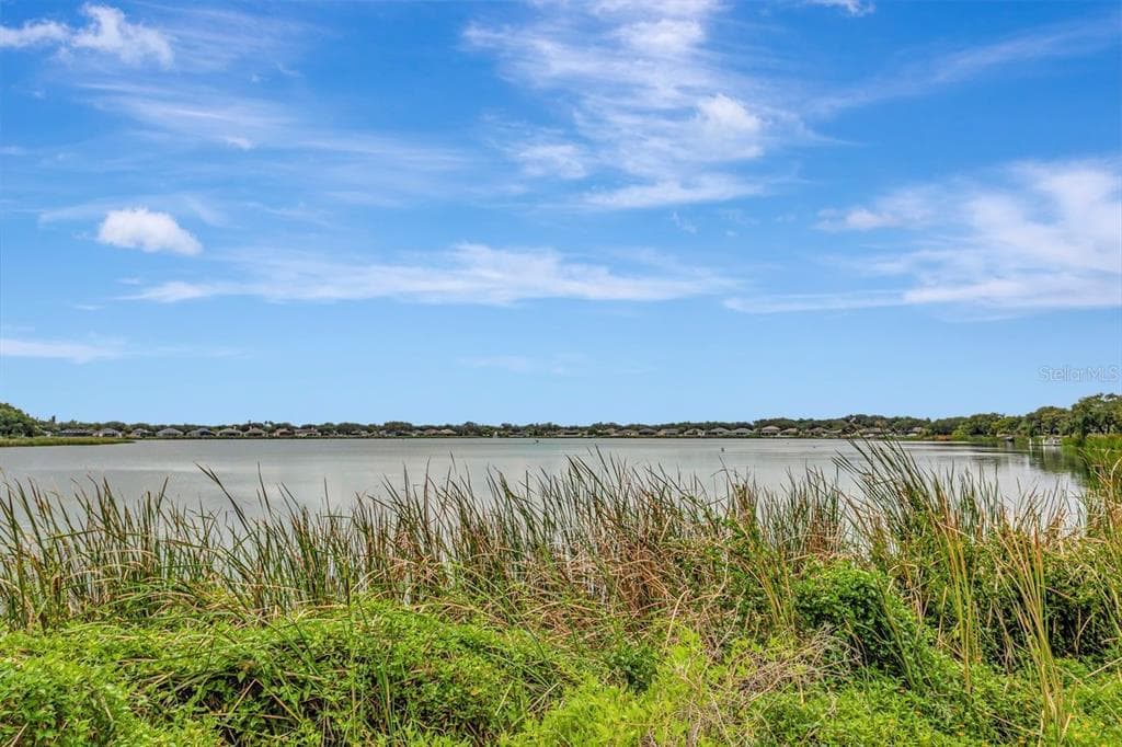 6818 WATERTON DRIVE, RIVERVIEW, FL 33578 — zdjęcie 2