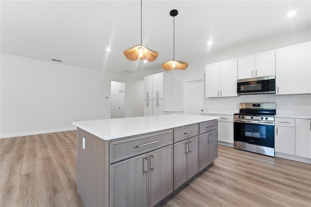1324 MARSHALL DRIVE, LEESBURG, FL 34748 — zdjęcie 4