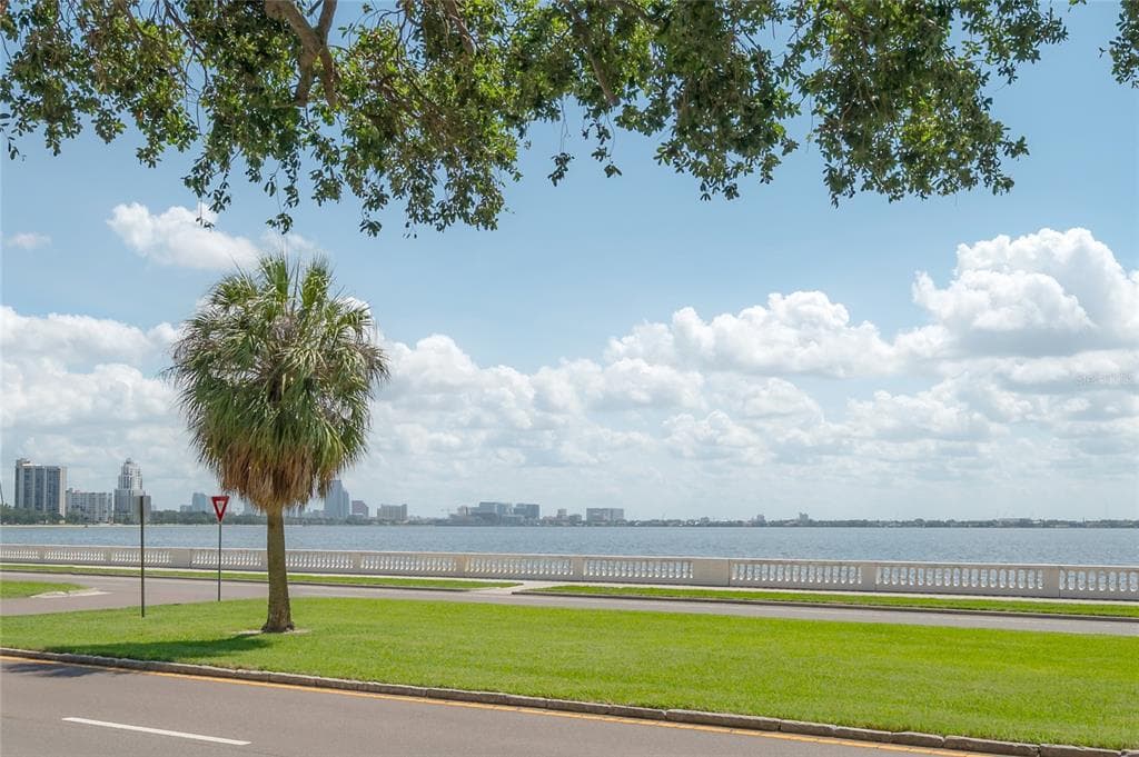 3325 BAYSHORE BOULEVARD # A17, TAMPA, FL 33629 — zdjęcie 2