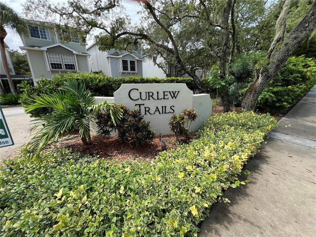 1383 CURLEW ROAD, DUNEDIN, FL 34698 — zdjęcie 2