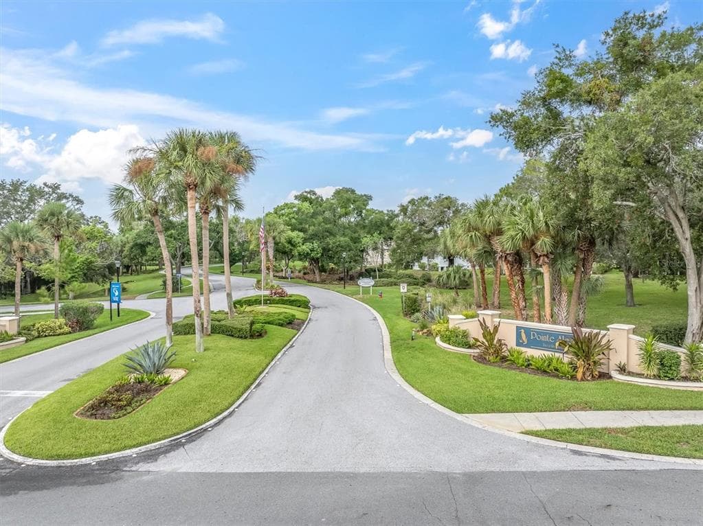 1083 S POINTE ALEXIS DRIVE, TARPON SPRINGS, FL 34689 — zdjęcie 3