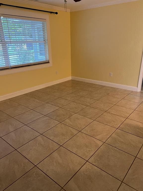 818 SCOTLAND STREET, DUNEDIN, FL 34698 — zdjęcie 5