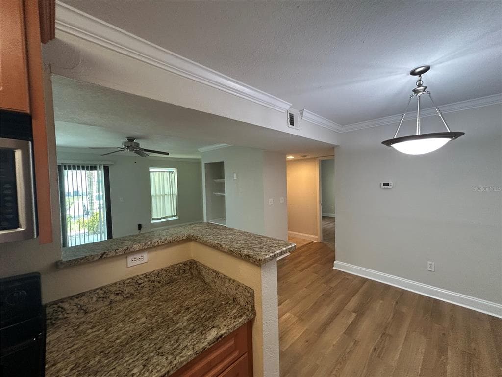 455 ALT 19 S # 121, PALM HARBOR, FL 34683 — zdjęcie 5
