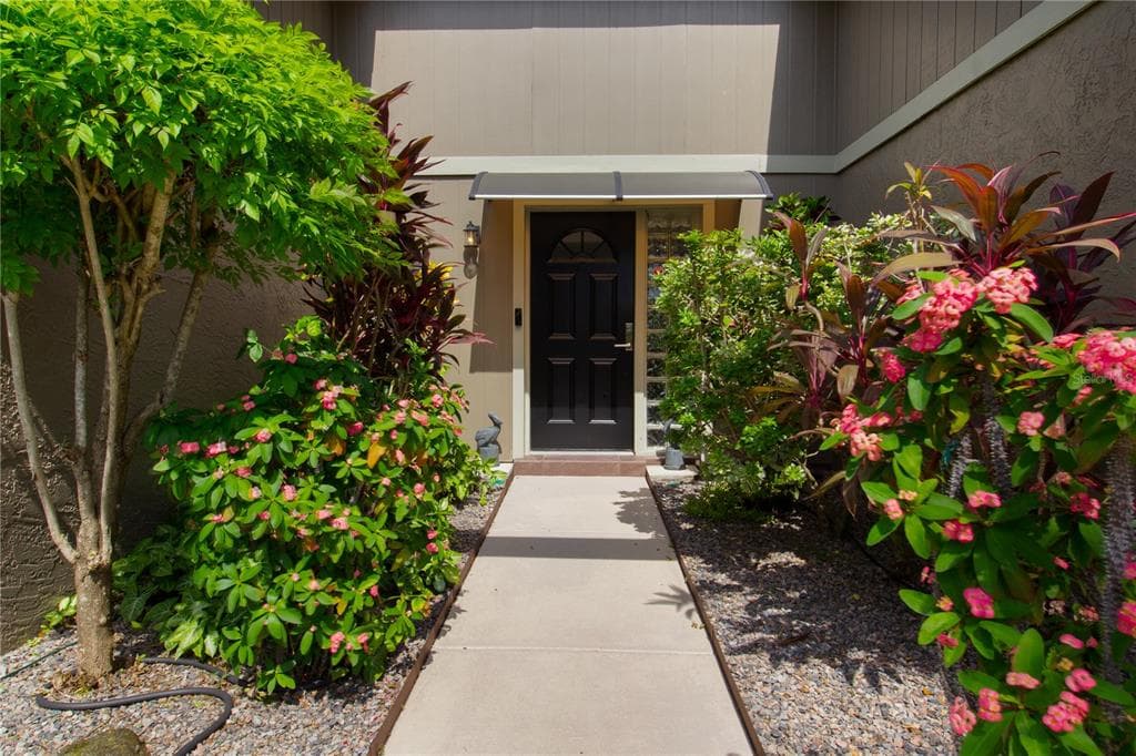1613 ST CATHERINE DRIVE E, DUNEDIN, FL 34698 — zdjęcie 3