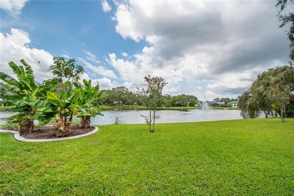 2906 WINDRIDGE DRIVE, HOLIDAY, FL 34691 — zdjęcie 2