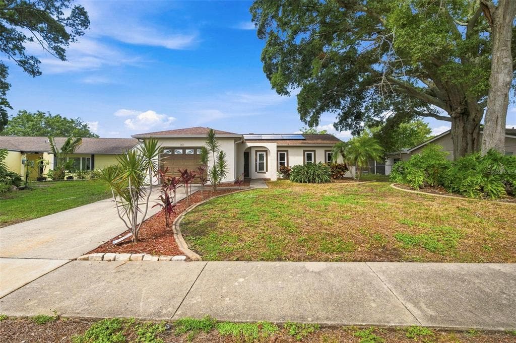 2460 BEACON GROVES BOULEVARD, PALM HARBOR, FL 34683 — zdjęcie 2