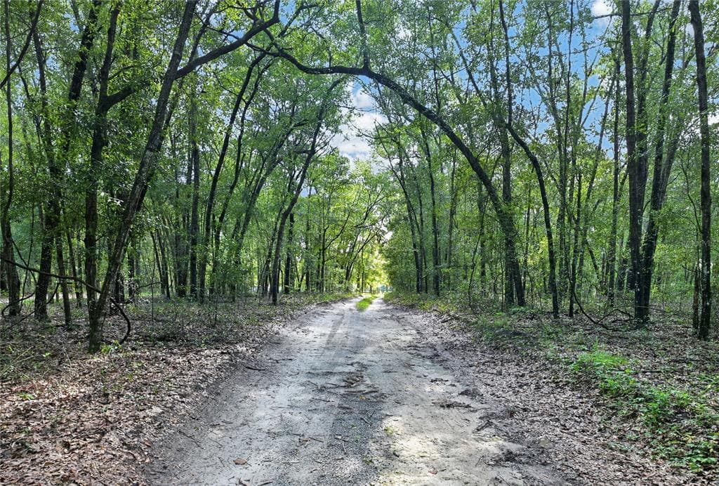 9813 NW STATE ROAD 45, HIGH SPRINGS, FL 32643 — zdjęcie 5