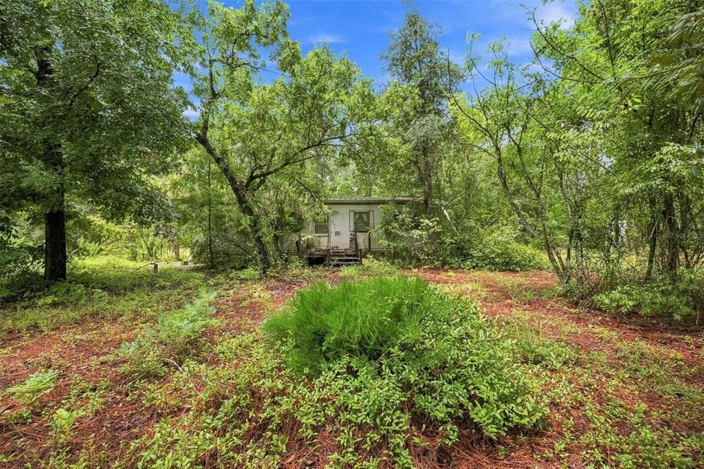 4734 S SLASH PINE AVENUE, HOMOSASSA, FL 34446 — zdjęcie 2
