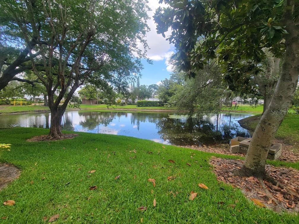 10024 STRAFFORD OAK COURT # 813, TAMPA, FL 33624 — zdjęcie 3