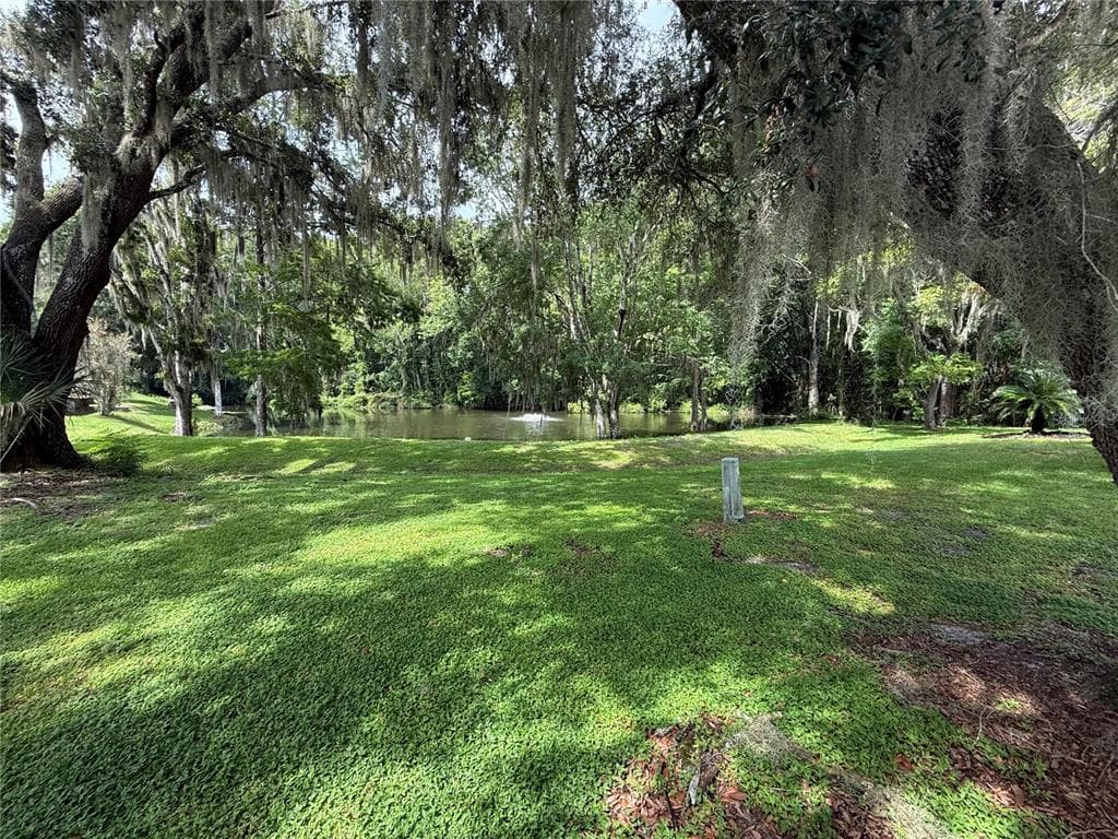 802 ROBIN LANE, WILDWOOD, FL 34785 — zdjęcie 3