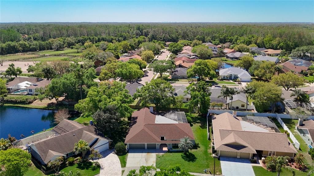 4072 BELMOOR DRIVE, PALM HARBOR, FL 34685