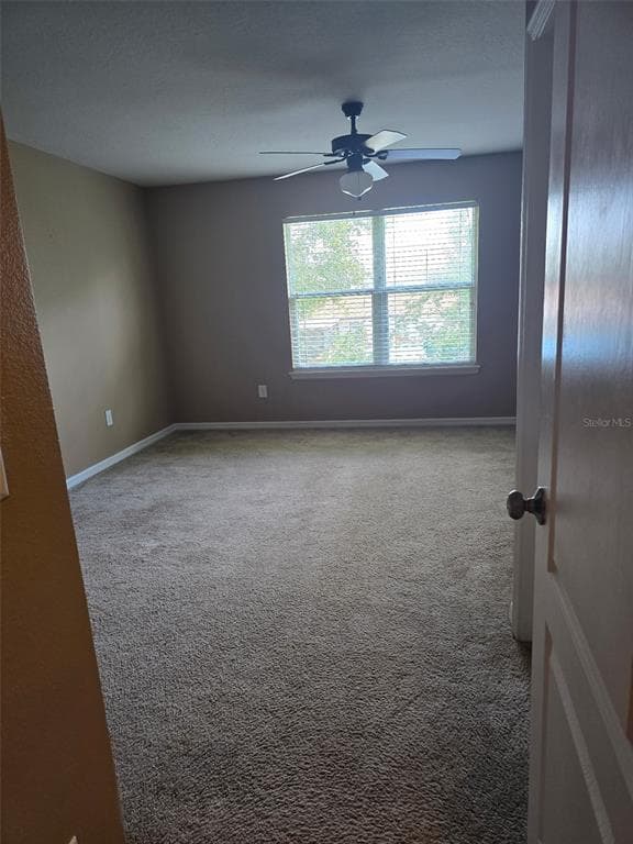 2157 BROADWAY VIEW AVENUE, BRANDON, FL 33510 — zdjęcie 4