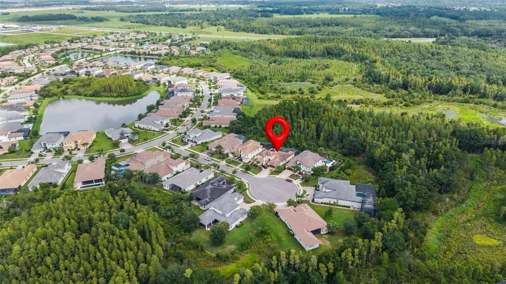 30581 IVY FORGE COURT, WESLEY CHAPEL, FL 33543 — zdjęcie 3