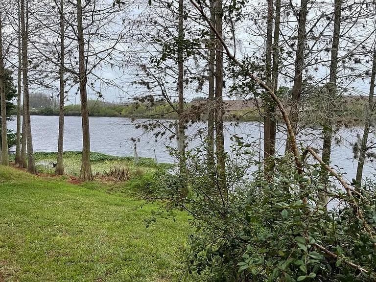 3449 HERON ISLAND DRIVE, NEW PORT RICHEY, FL 34655 — zdjęcie 5