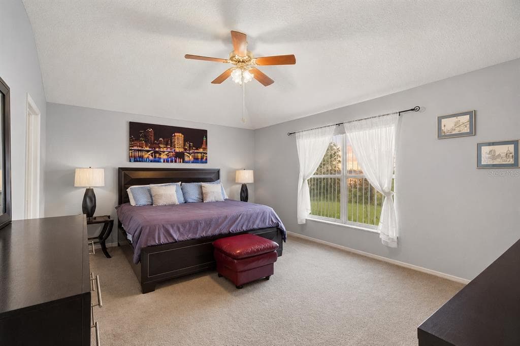 30907 WHITLOCK DRIVE, WESLEY CHAPEL, FL 33543 — zdjęcie 5