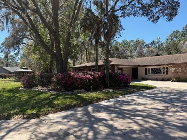 36 PINE DRIVE, HOMOSASSA, FL 34446 — zdjęcie 2