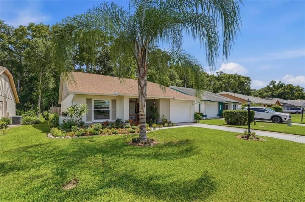 11602 WHITE ASH DRIVE, NEW PORT RICHEY, FL 34654 — zdjęcie 3