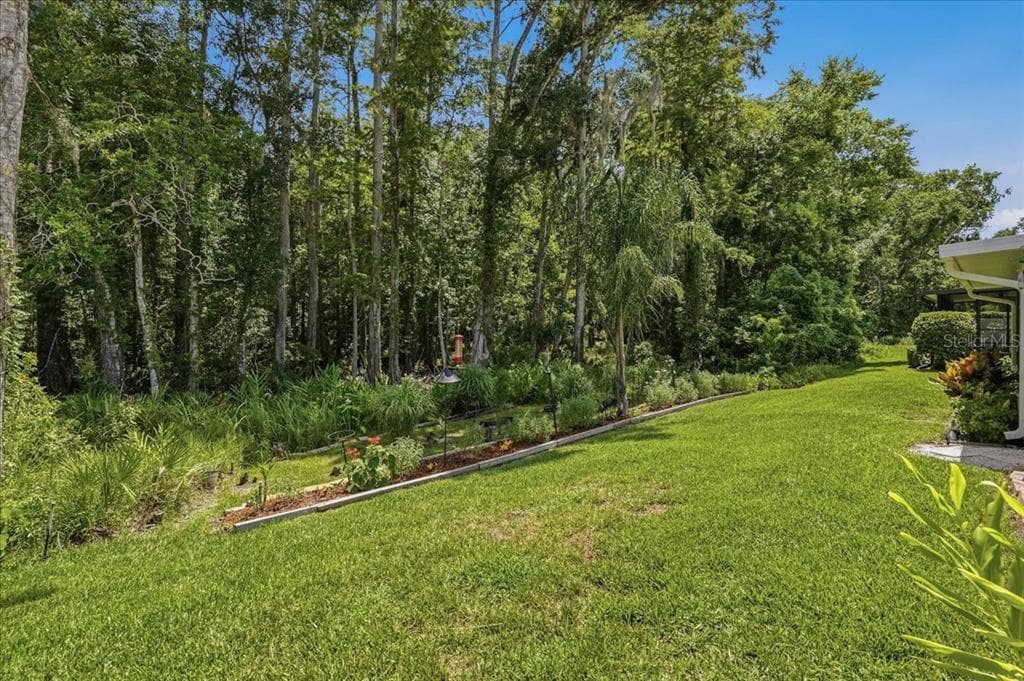 11602 WHITE ASH DRIVE, NEW PORT RICHEY, FL 34654 — zdjęcie 5