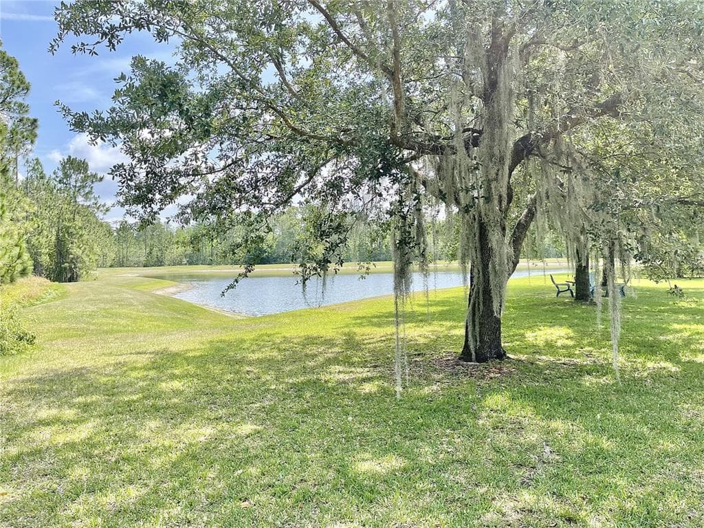 8321 GREENBANK BOULEVARD, WINDERMERE, FL 34786 — zdjęcie 5