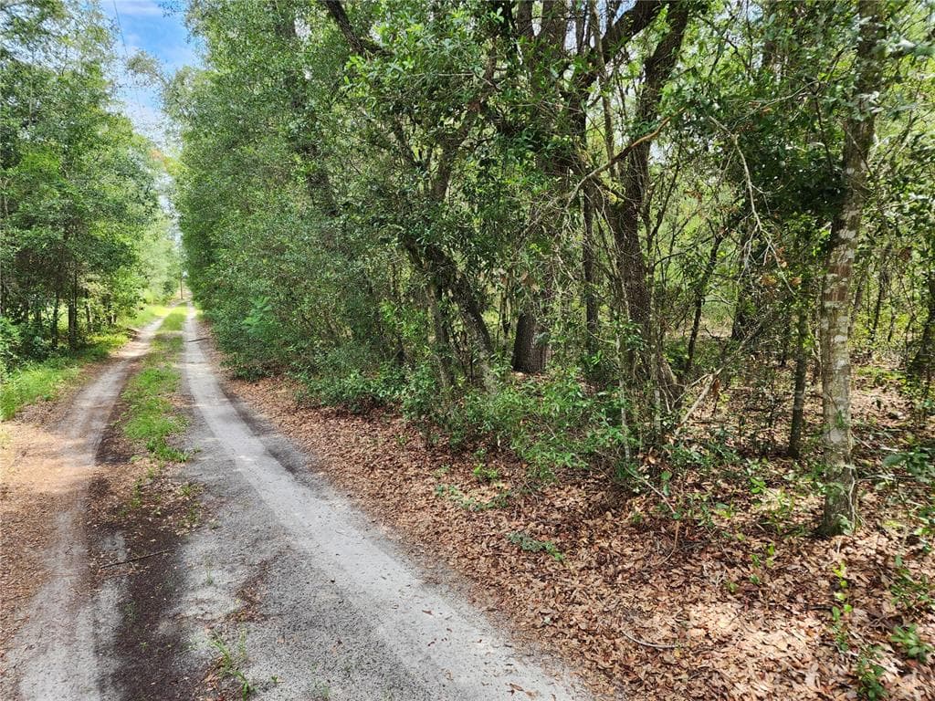 10920 SW 105TH STREET, OCALA, FL 34481 — zdjęcie 3