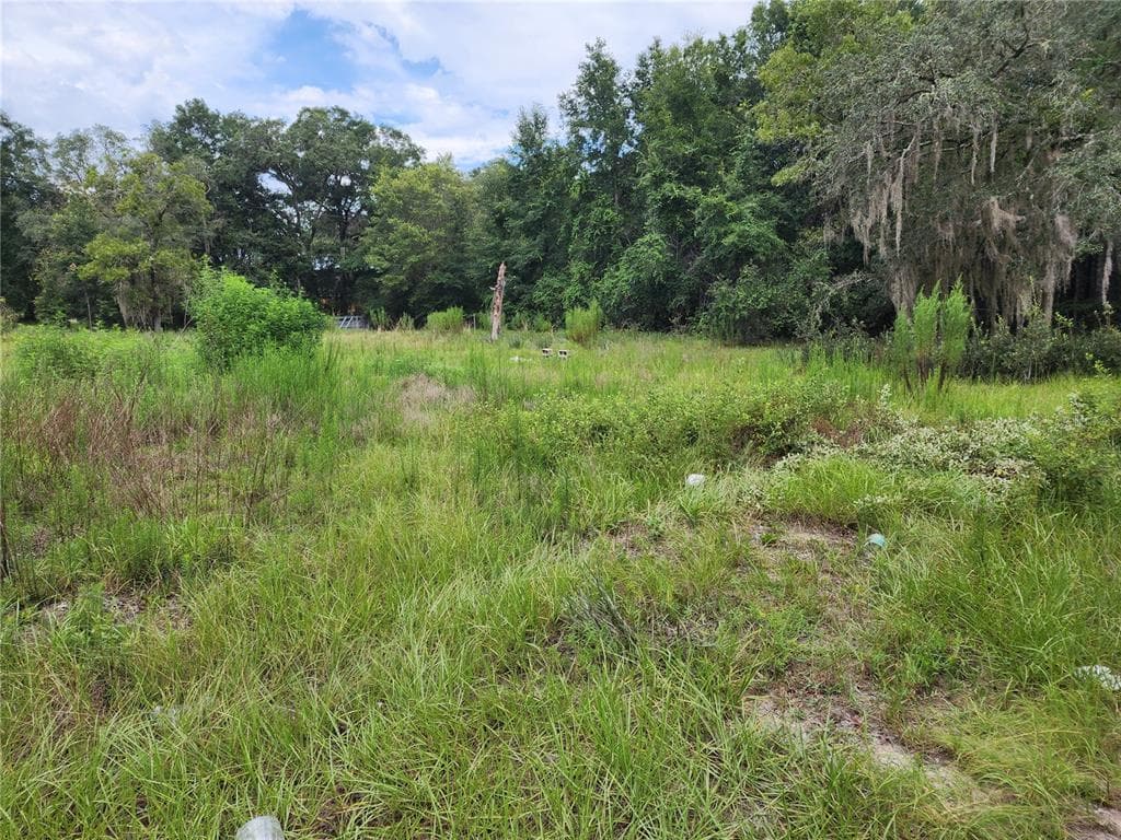 10920 SW 105TH STREET, OCALA, FL 34481 — zdjęcie 5
