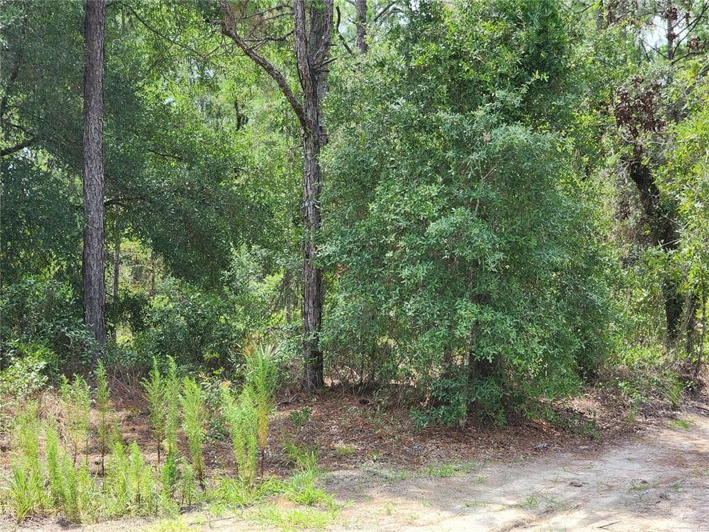10920 SW 105TH STREET, OCALA, FL 34481 — zdjęcie 4