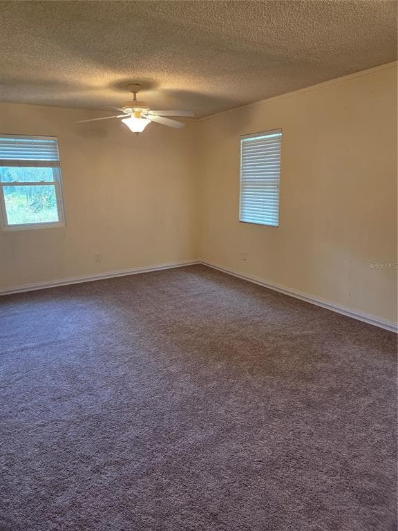 5809 J G ROGERS LANE, PLANT CITY, FL 33567 — zdjęcie 4