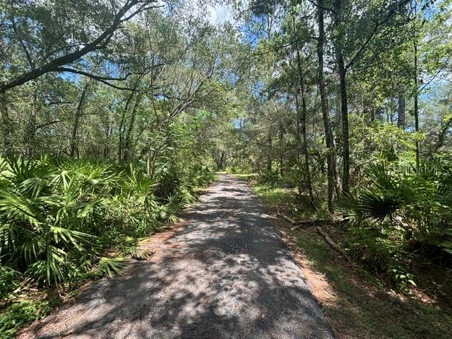 6594 N GOLD LEAF POINT, DUNNELLON, FL 34433 — zdjęcie 2