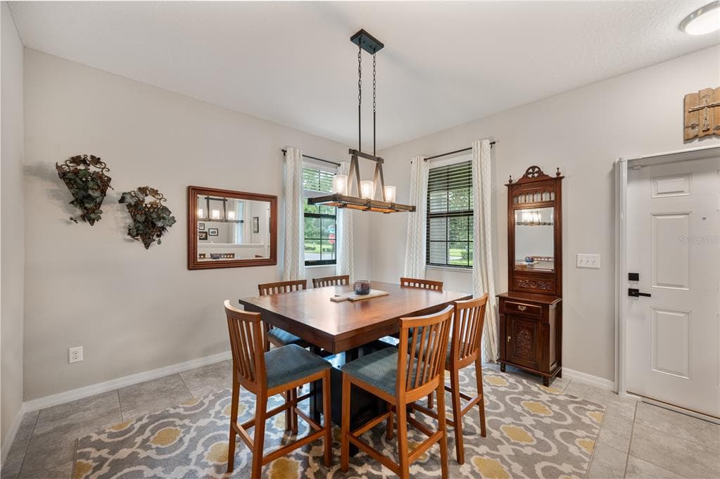 17616 TERRAZZO WAY, LAND O LAKES, FL 34638 — zdjęcie 5