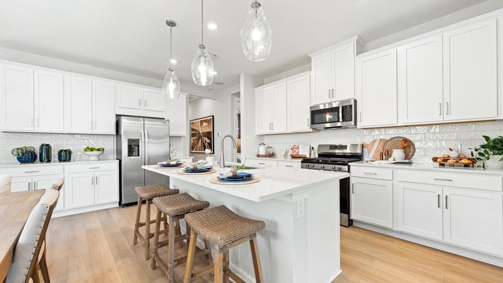 26613 DOVE DRIVE, PUNTA GORDA, FL 33955 — zdjęcie 2