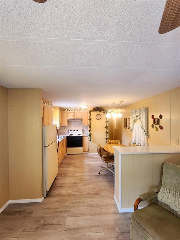 35015 MAJOR DADE, DADE CITY, FL 33523 — zdjęcie 3