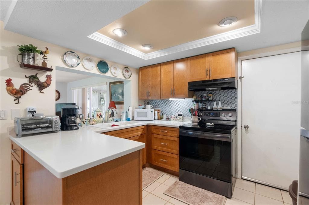 8216 CAVALRY DRIVE, HUDSON, FL 34667 — zdjęcie 3